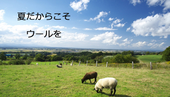 夏のウールインナーの選び方