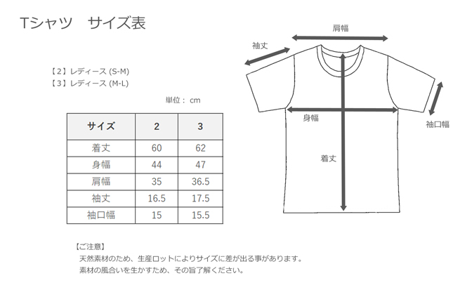 KINOTTO_Tシャツ サイズ表