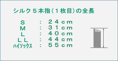 絹５本指全長表