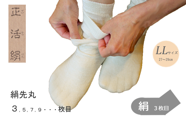 絹先丸LL